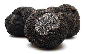 Schwarzer Trüffel kleine Knollen