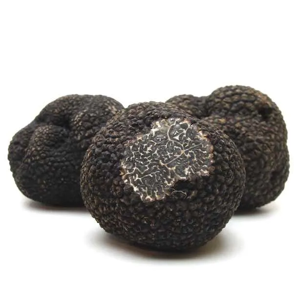 Perigordtrüffel klein